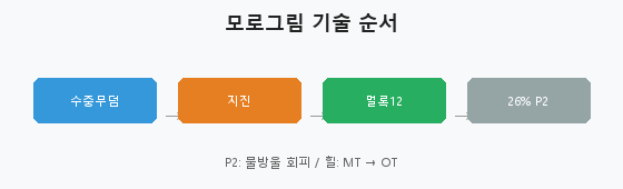 그림 5-1. 모로그림 기술 순서